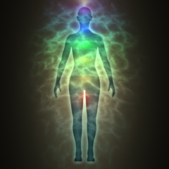 medical intuitive readings medical medium readings medical intuitive medical medium